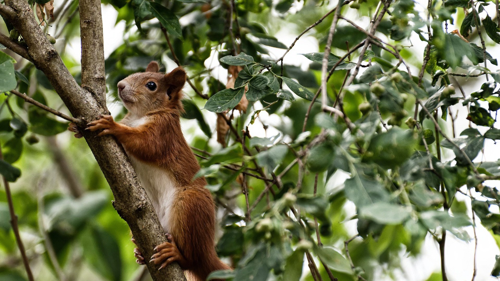 kaiyun网站-全国足球青训示范基地建设全面加快，行业标准不断升级，中国足球青训基地有哪些