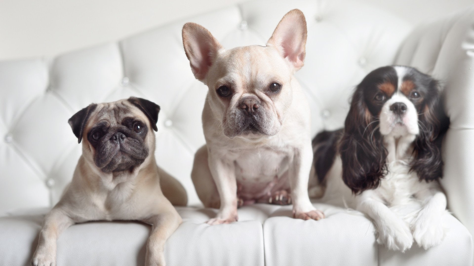 kaiyun 开云体育-瑞士男足在巴黎奥运会上取得历史性成绩，瑞士男足最高排名