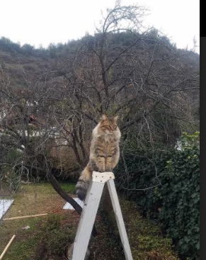 开云·体育官网APP下载-精彩对抗：本周最激烈的五场比赛回顾，对抗赛锦标赛