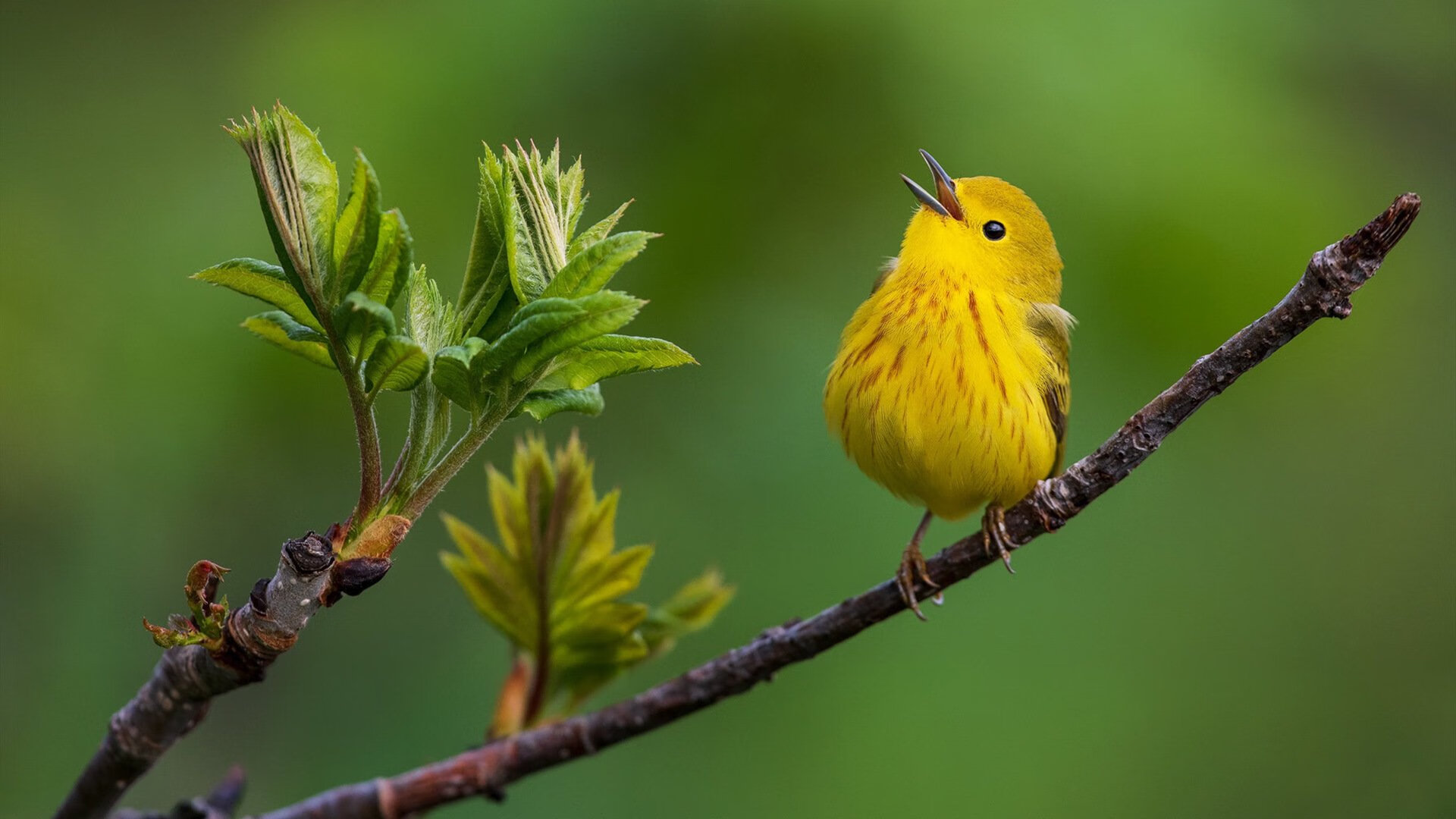 kaiyun 开云体育-体育文化推动全民健身运动发展，推动全民健身开展和体育强国建设