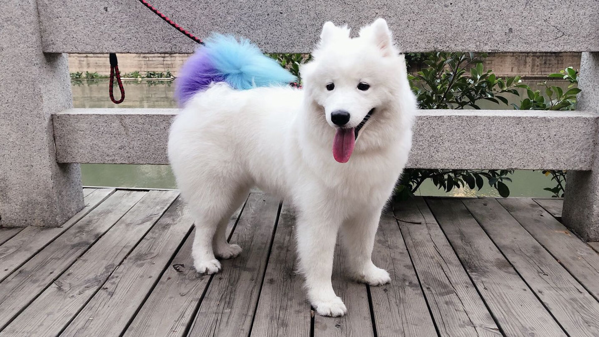 KAIYUNAPP-奥预赛中国女足战平 球迷支持球队发展，中国女足奥预赛比赛时间