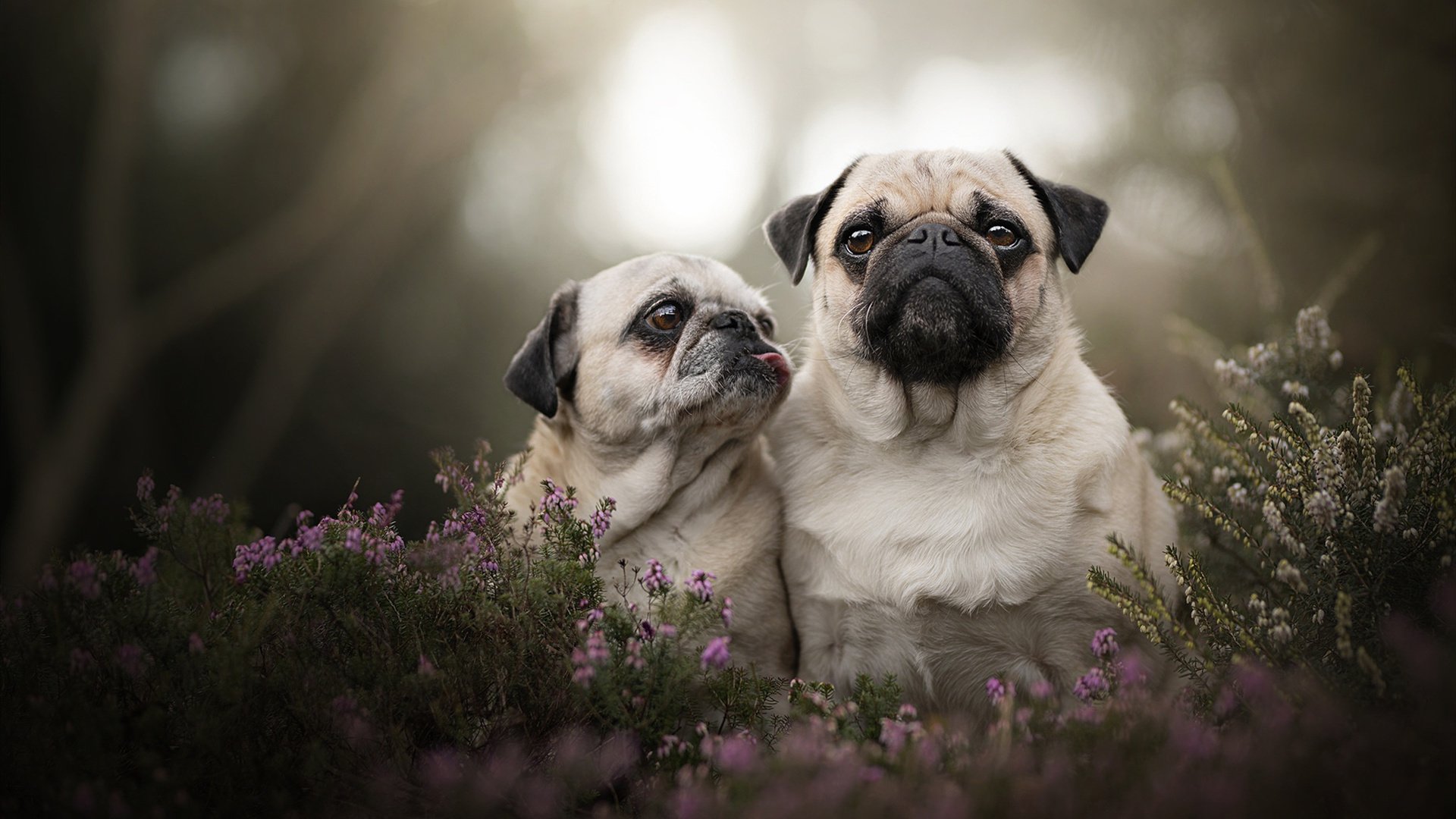 Kaiyun(中国)开云-守转攻阶段是否是五大联赛战术创新最集中的部分，守转攻三对三有哪些训练方法