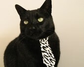 kaiyun体育综合-外籍教练引入先进理念提升整体备战效率，外籍教练工资