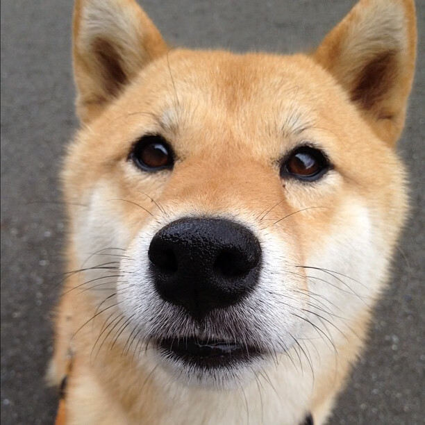 kaiyun开云·官方网站-李娜与同代球员聚会回忆青春岁月，李娜hm