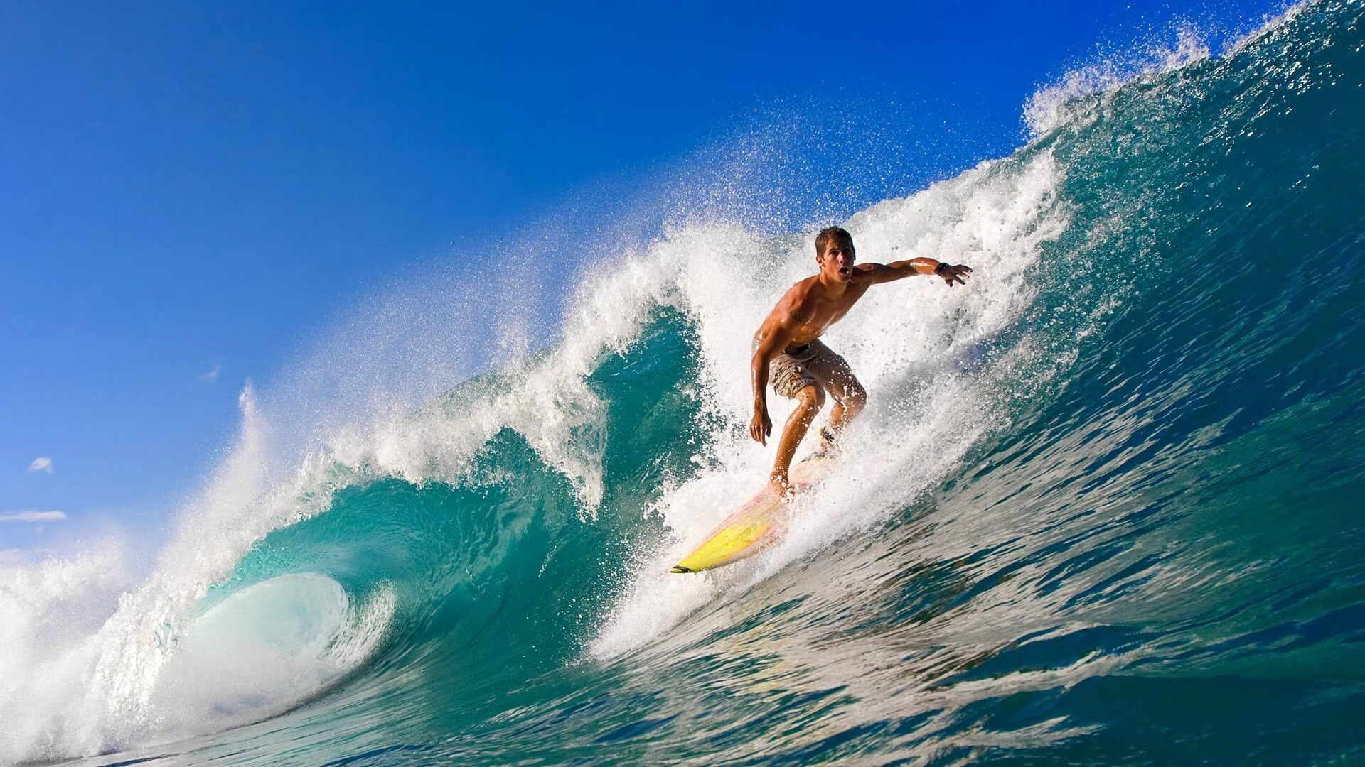 夺冠秘籍:冠军队伍的战术精髓深度剖析,冠军技巧